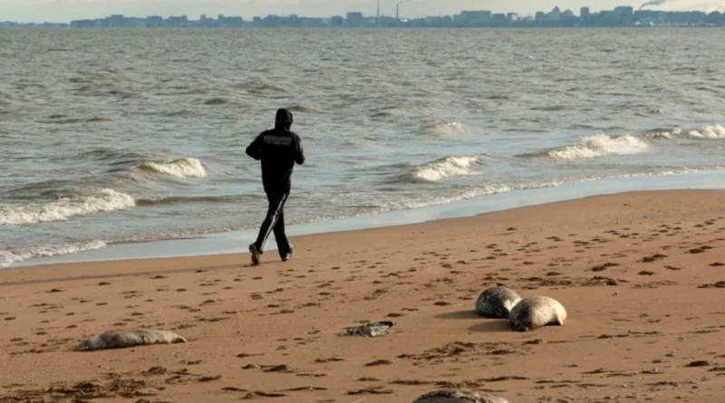 বিলীন হচ্ছে কাস্পিয়ান সাগর, পরিবেশ বিপর্যয়ের মুখে বিশ্ব
