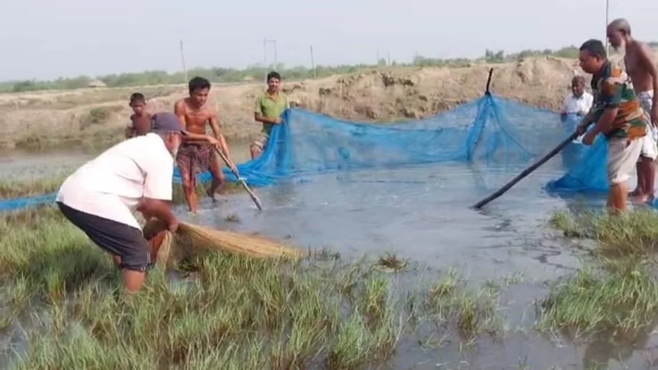 পাথরপ্রতিমার পর এবার কুলতলির পুকুরে কুমির