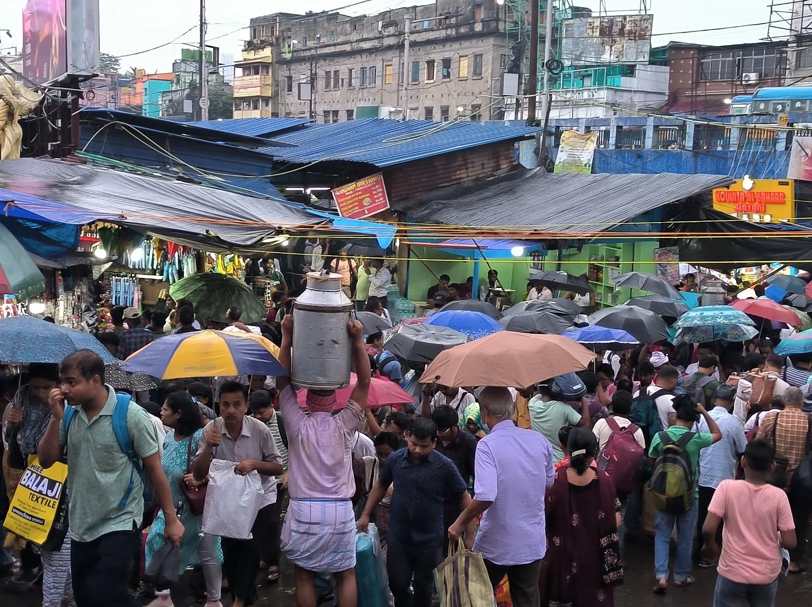 ছাতার মতন বড় পাতাটির নীচে বসে আছে ভোরের দোয়েল পাখি