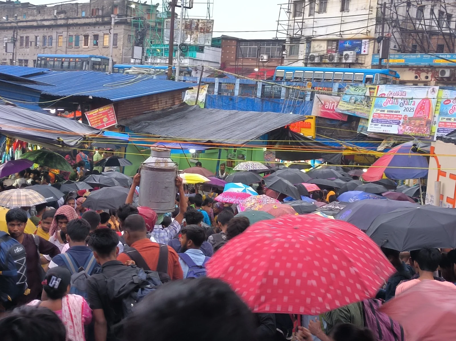 ছাতার মতন বড় পাতাটির নীচে বসে আছে ভোরের দোয়েল পাখি