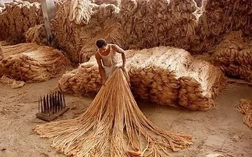 ফের কেন্দ্রের নিষেধাজ্ঞা: বাংলাদেশ থেকে স্থলপথে পাট ও পাটজাত পণ্য আমদানি বন্ধ