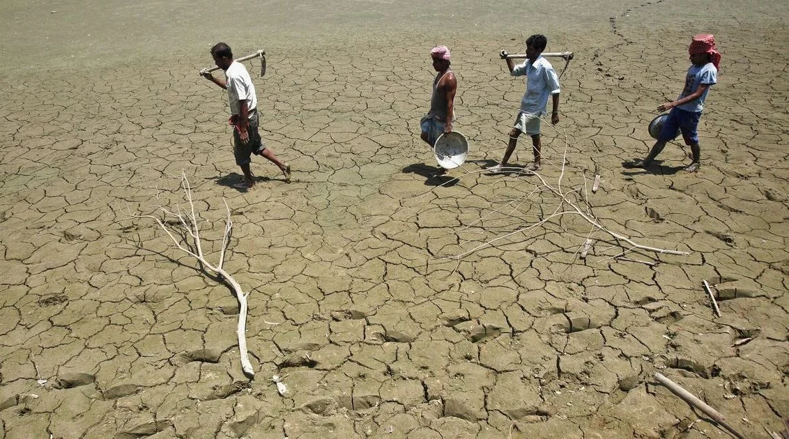 কৃষক আত্মহত্যা: মহারাষ্ট্রে ৩ মাসে আত্মঘাতী ৭৬৭ জন