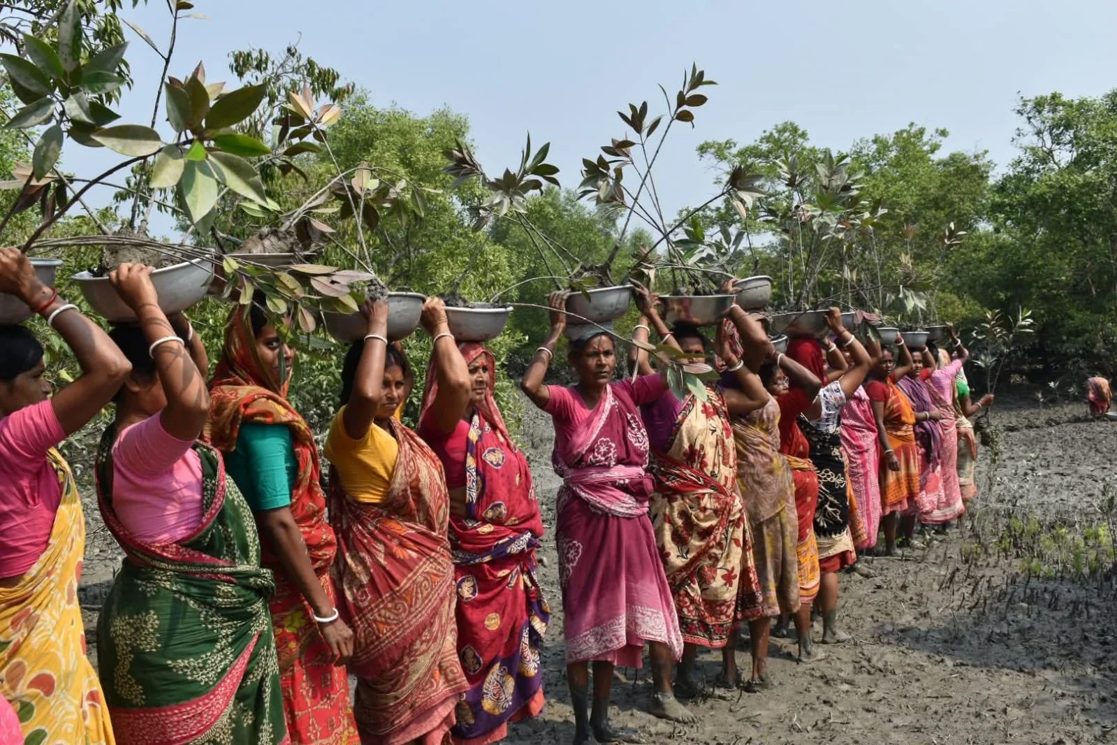 "আমাদের পাড়া ,আমাদের সমাধান" কি কি কাজ করা যাবে, জানালো নবান্ন