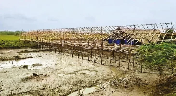 নদীর চরে ম্যানগ্রোভ কেটে পোল্ট্রি ফার্ম হচ্ছে সুন্দরবনে