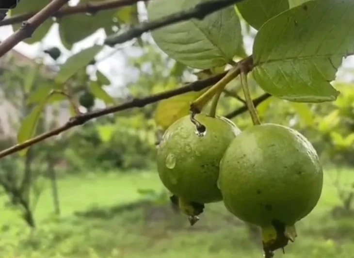 বিকল্প কর্মসংস্থানের জন্য নয়া উদ্যোগ