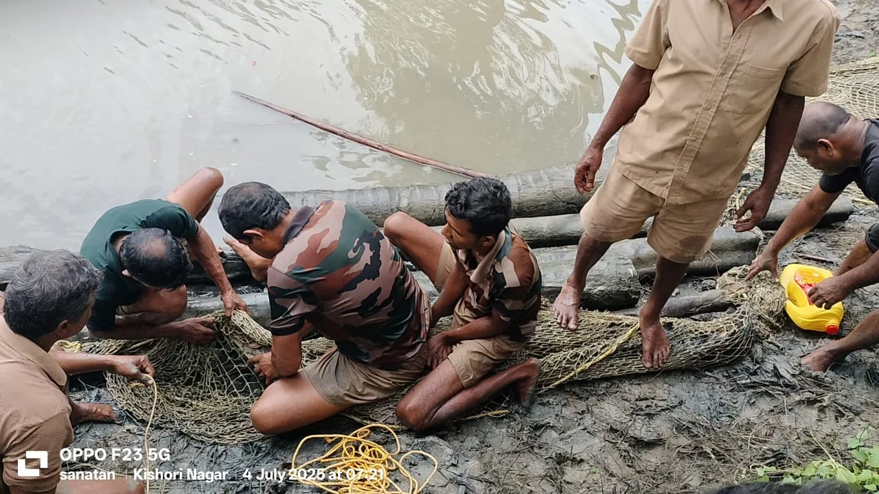 পাথরপ্রতিমায় লোকালয়ে পুকুরে আবার কুমির