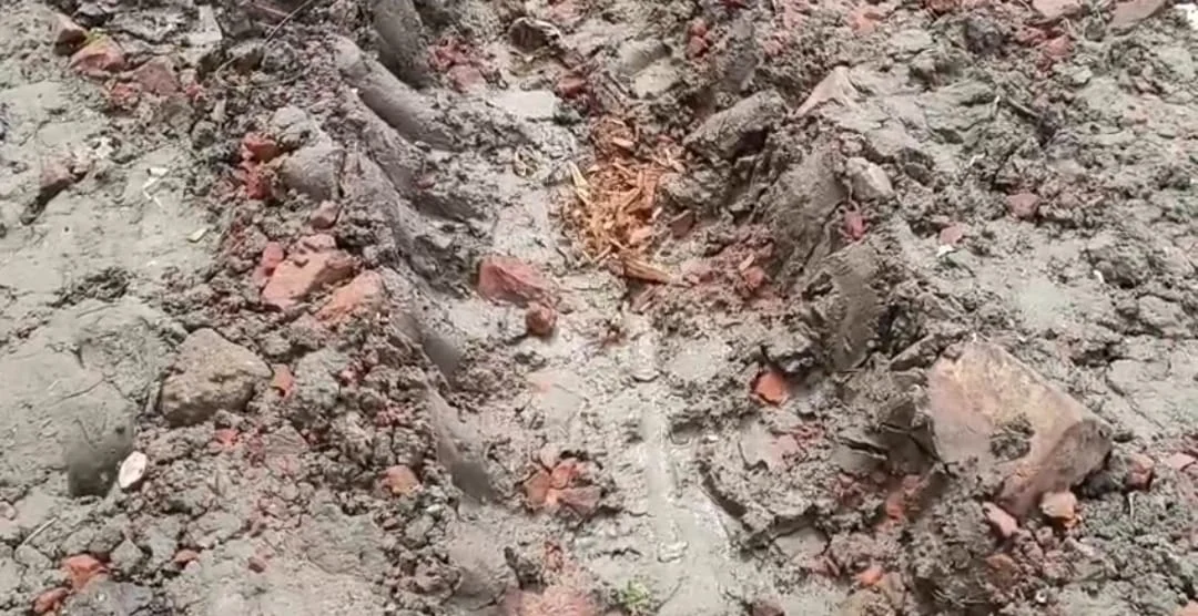 সোনারপুরের গোড়াগাছার বেহাল রাস্তায় চরম দুর্ভোগে এলাকার মানুষ