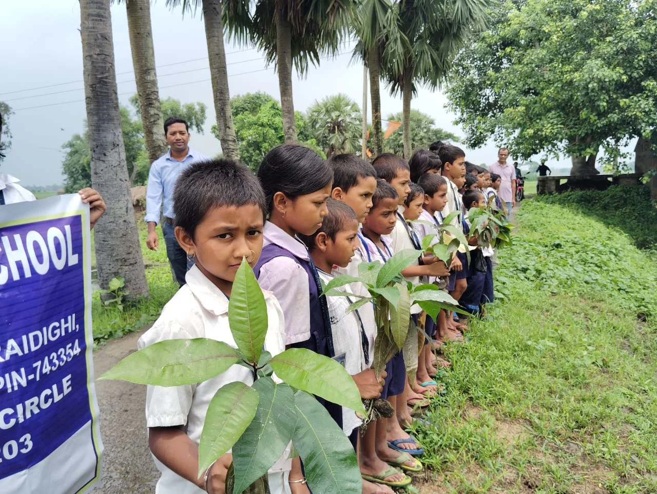 রাস্তার পাশে সিডবল ফেলে ফলের গাছ তৈরির চেষ্টা প্রাথমিক বিদ্যালয়ের