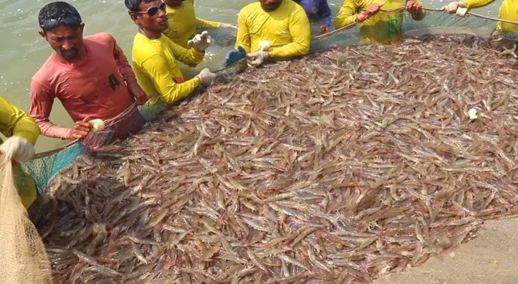 জলাভূমি লিজ দেওয়ার জন্য পোর্টাল চালু করছে রাজ্য সরকার
