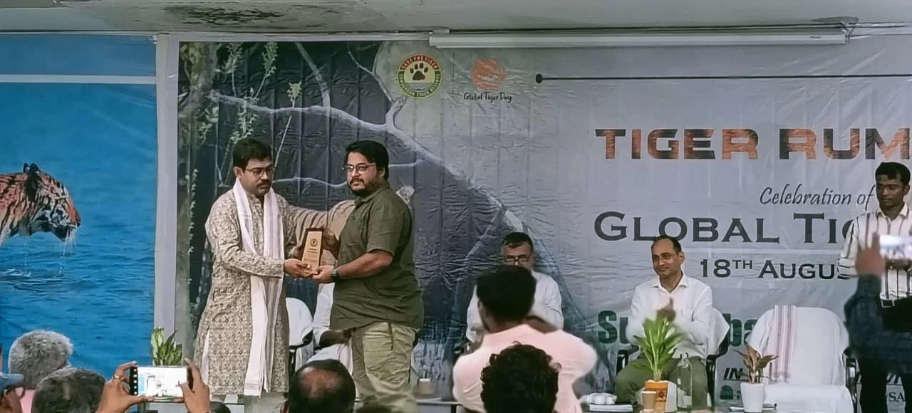 সুন্দরবনের নদীতে কুমিরের সংখ্য বাড়ছে