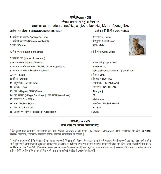 ক্যাট কুমার: এবার বিড়ালের নামে রেসিডেন্সিয়াল সার্টিফিকেটের আবেদন বিহারে