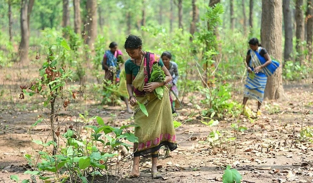 আদিবাসী নারীদের পৈতৃক সম্পত্তিতে সমান অধিকার