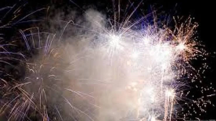 দিল্লির ৩৪টি মনিটরিং স্টেশনকে ‘রেড জ়োন’ হিসেবে চিহ্নিত