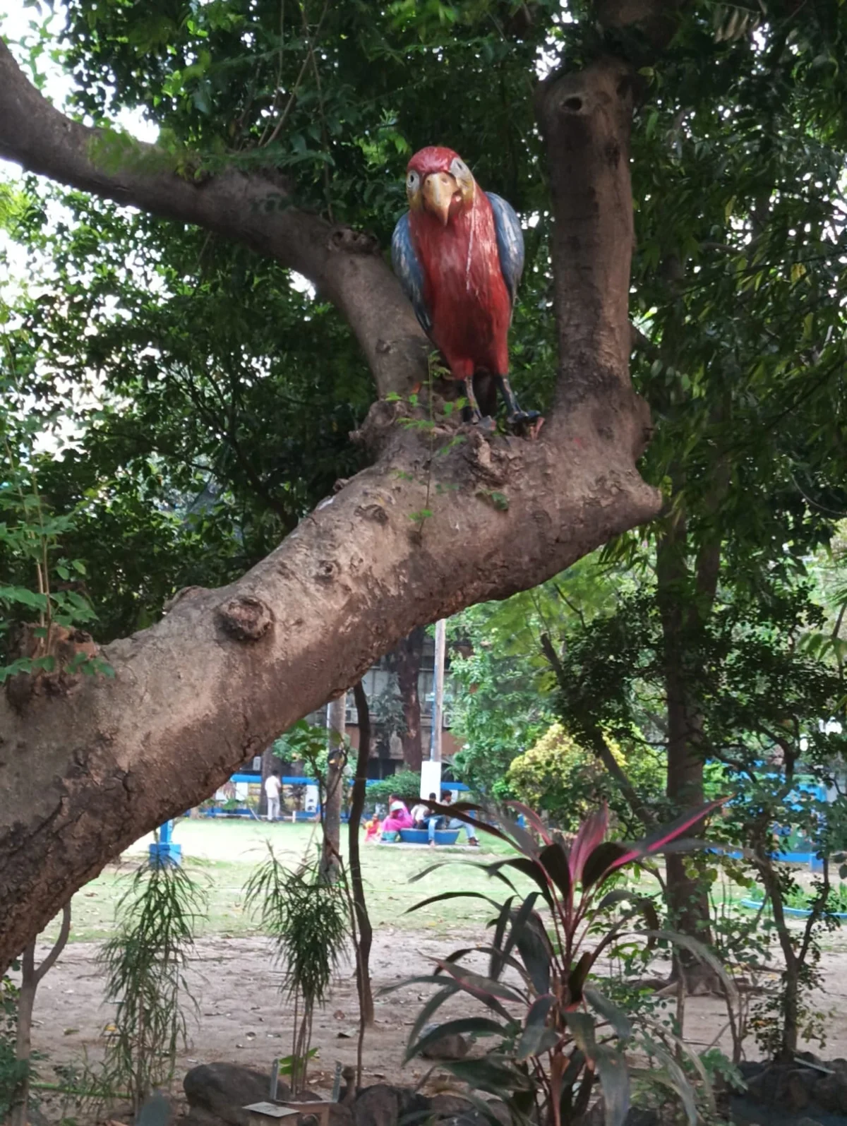 আসল নকল, আসল গাছে নকল পাখি অ্যালান পার্কে
