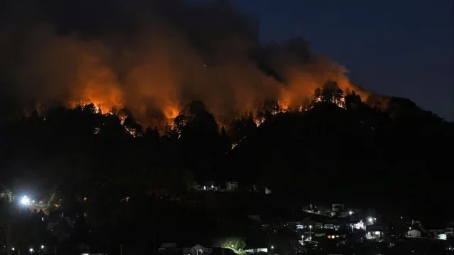 চার দিনেও নিয়ন্ত্রণে নয় জাপানের ভয়াবহ দাবানল, পুড়ে ছাই প্রায় ২ হাজার একর বনভূমি
