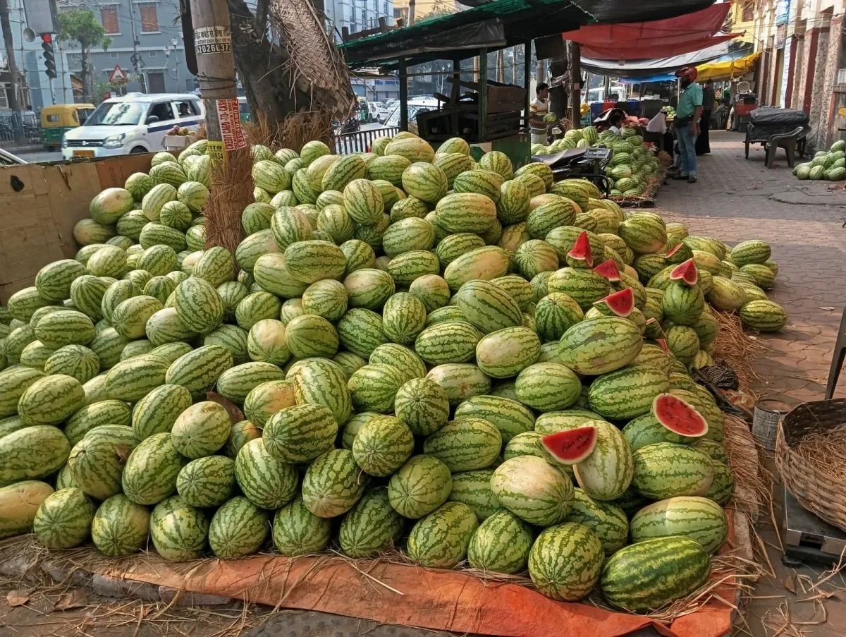 গরমে চাহিদা বাড়ছে তরমুজের মল্লিক বাজারে