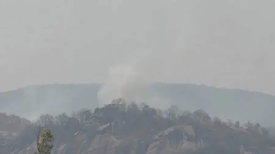 ছত্তিশগড়ে গাছে ধাক্কা লেগে ভেঙে পড়ল বিমান, হতাহতের আশঙ্কা