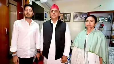 "আপনি হারেননি", মমতার পাশে দাঁড়িয়ে বিজেপি-কমিশনকে দুষলেন অখিলেশ 