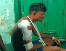 সুন্দরবনে মধু সংগ্রহ করার সময় ঝাঁপিয়ে পড়ল রয়্যাল বেঙ্গল, গুরুতর আহত মৌলে 