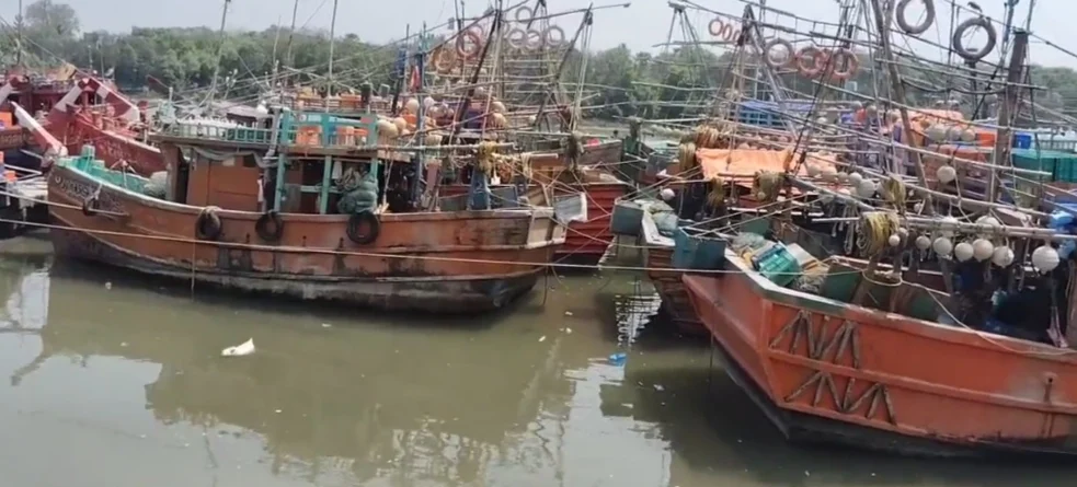 মেলেনি সমুদ্রসাথী প্রকল্পের টাকা, নতুন সরকারকে পাশে চেয়ে আবেদন মৎস্যজীবীদের 