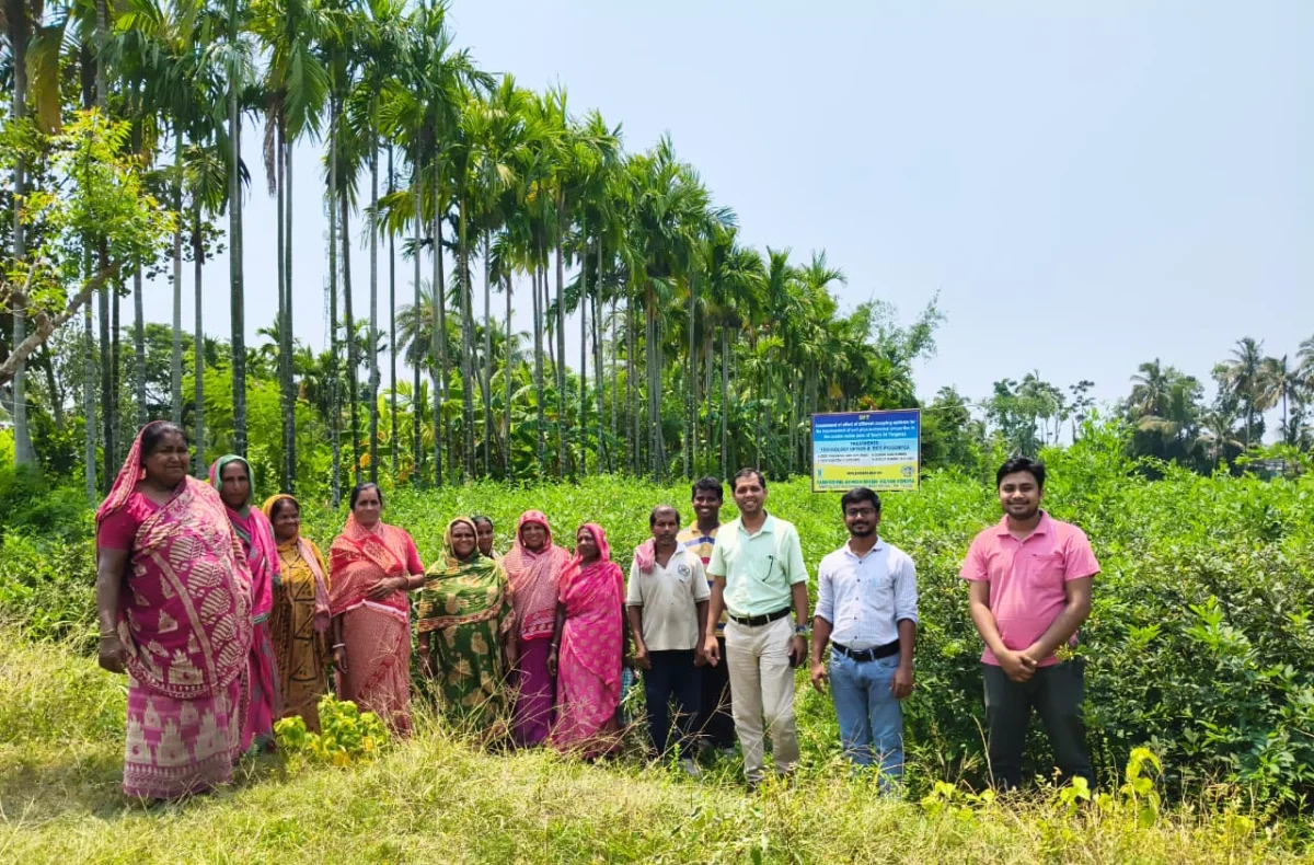 মাটির স্বাস্থ্য থেকে কৃষকের সমৃদ্ধিতে আমন ধান পরবর্তী পতিত জমিতে স্বল্প মেয়াদি অড়হর ডালের চাষ শুরু এবার নিমপীঠে 