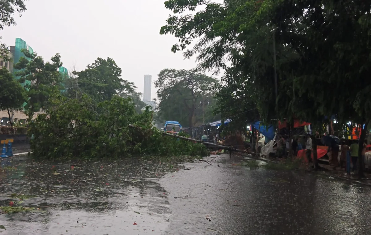 কলকাতায় মুষলধারে বৃষ্টি, একাধিক জায়গায় ভেঙে পড়ল গাছ 