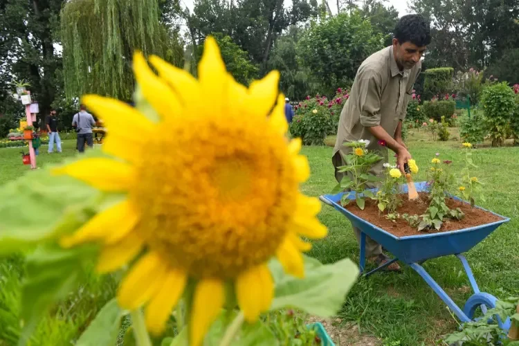 শ্রীনগরের পার্কে ফেলে দেওয়া জিনিসেই তৈরি ‘ওয়ান্ডার গার্ডেন’