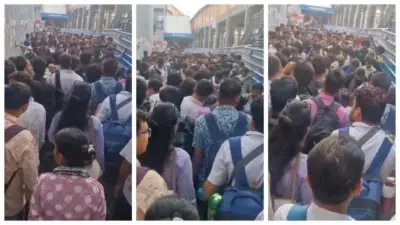 মেয়াদউত্তীর্ণ চকলেট কুড়াতে ময়লার স্তূপে উপচে পড়া ভিড়, ভাইরাল ভিডিয়ো