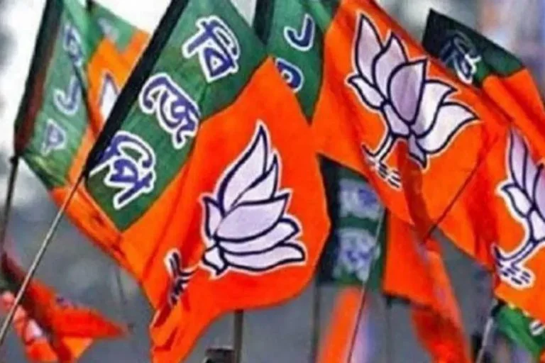 দলের শুদ্ধিকরণে কড়া পদক্ষেপ বঙ্গ বিজেপির, বদল হতে চলেছেন ১২ জন জেলা ও ২০০ জন মণ্ডল সভাপতি