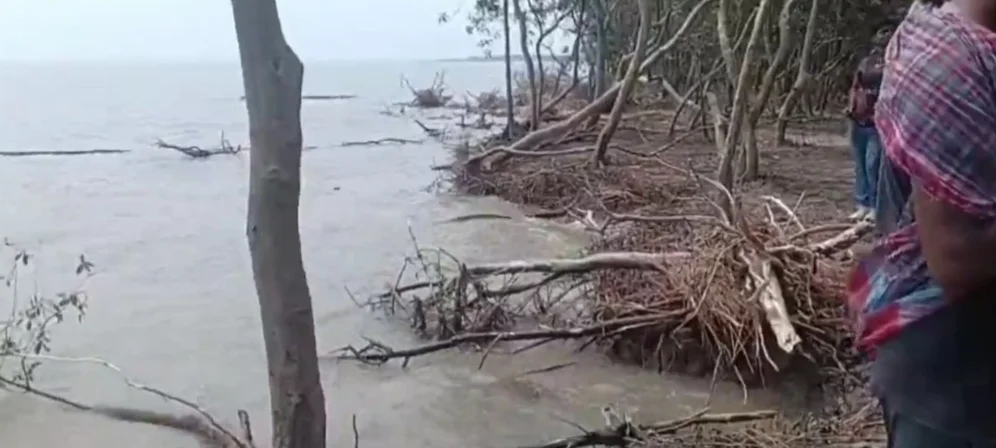 ভাঙনের কবলে নিউ বকখালির জঙ্গল, অস্তিত্ব রক্ষায় এবার সরকারি উদ্যোগের আশ্বাস