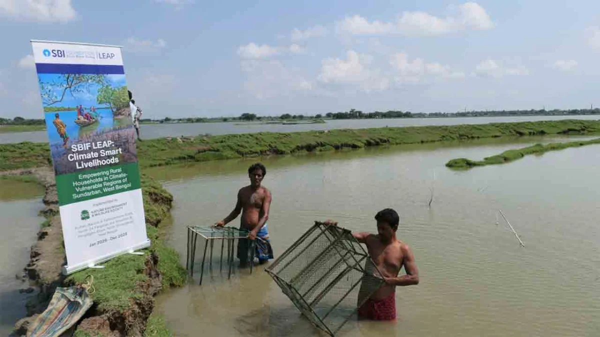 ম্যানগ্রোভ ঘেরা জলাশয়ে সমন্বিত মৎস্যচাষ, সুন্দরবনে বিকল্প কর্মসংস্থানের উদ্যোগ