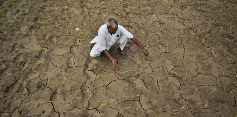 দক্ষিণ ভারতে খরার আশঙ্কা, বিশেষ প্যাকেজের দাবিতে সরব কৃষকরা