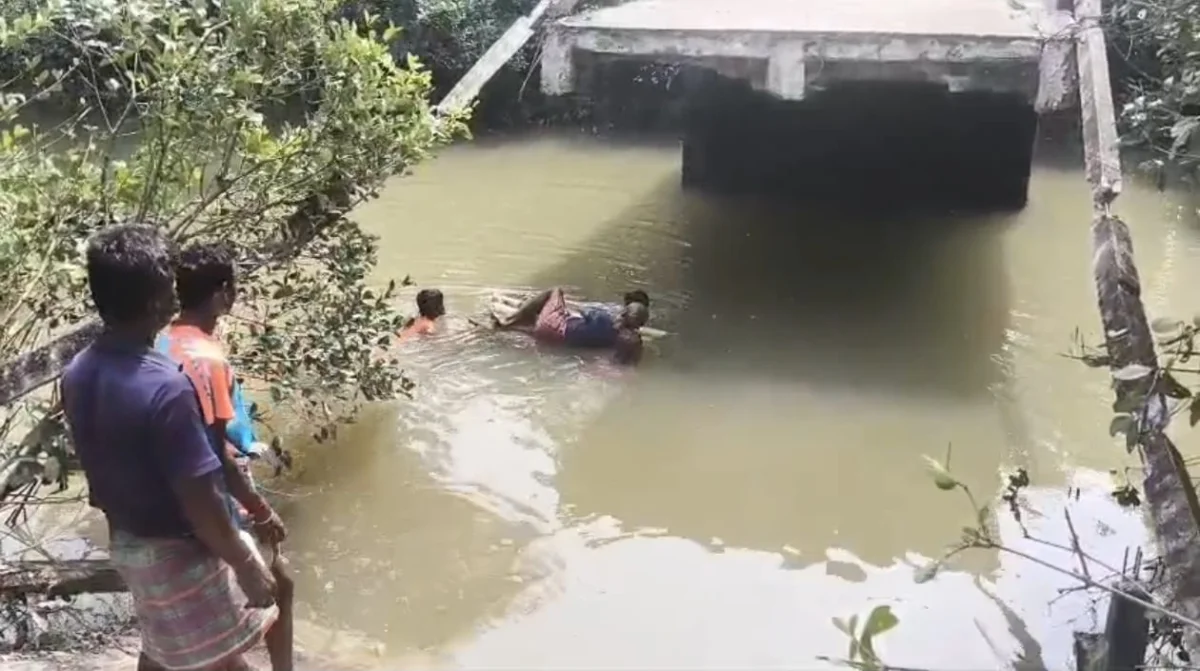 তৃণমূল আমলে তৈরি ৩২ লক্ষ টাকার সেতু ভেঙে পড়ল, বিপাকে সুন্দরবনের মানুষ