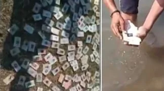 নর্মদার পরিত্যক্ত তীরে ভাসছে শয়ে শয়ে ভোটার কার্ড! মধ্যপ্রদেশে কমিশনের ভূমিকা নিয়ে প্রশ্ন তুলে এফআইআর-এর দাবিতে সরব কংগ্রেস