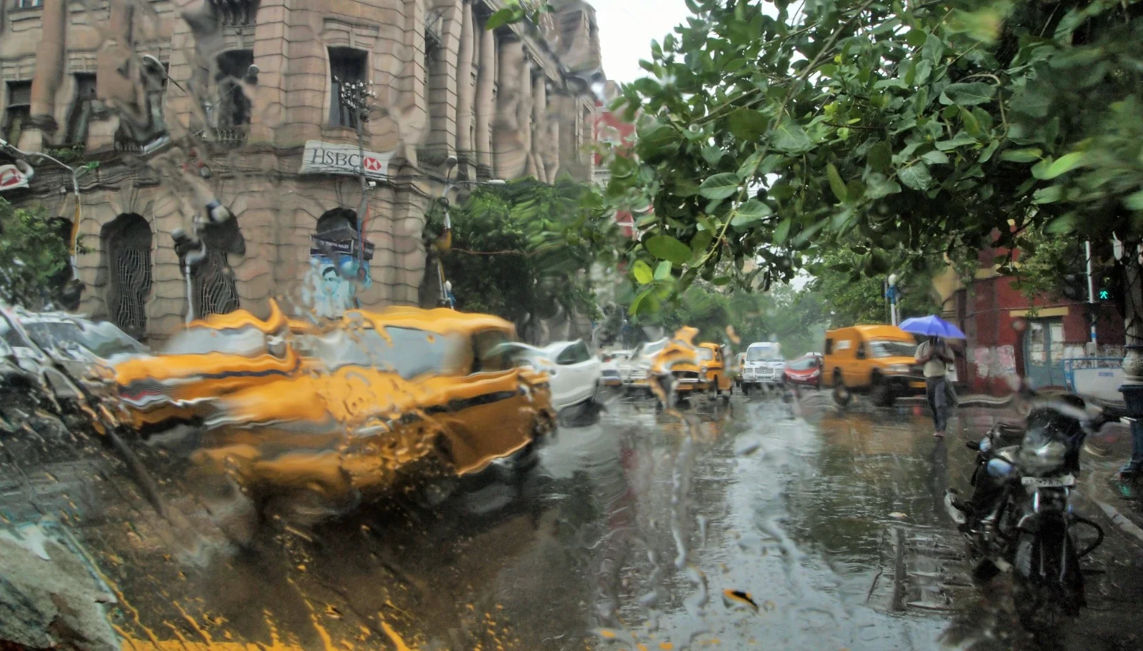 যারা বৃষ্টিতে ভিজেছিল...