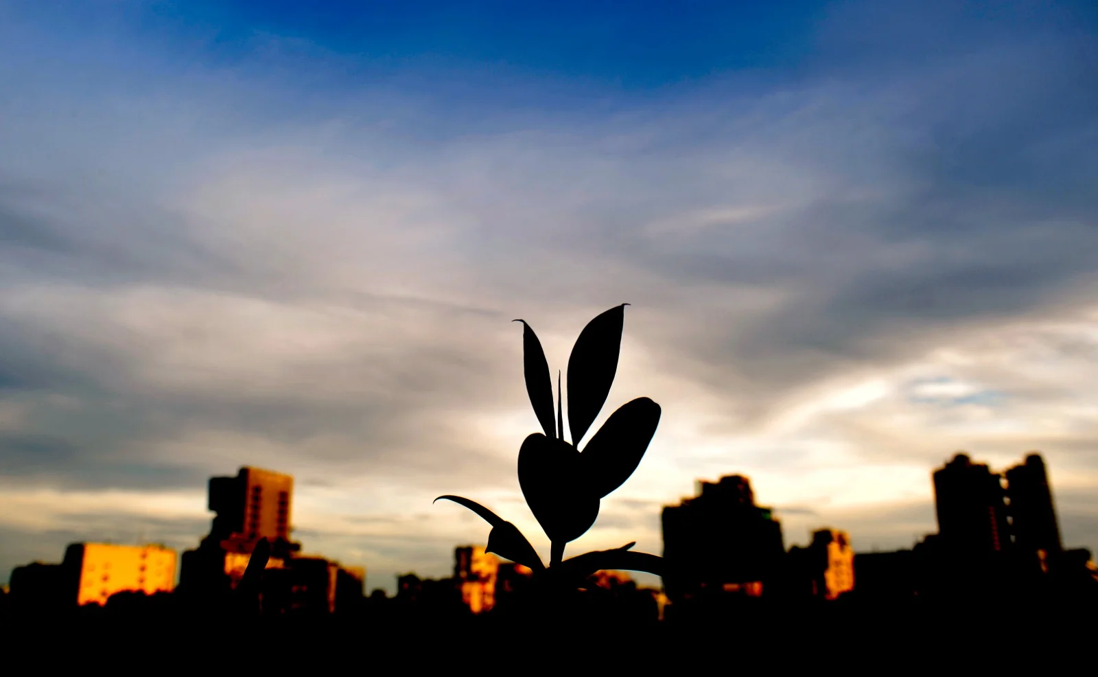 নীল আকাশে কে ভাসালে সাদা মেঘের ভেলা রে