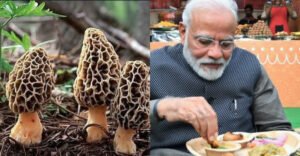প্রধানমন্ত্রীর সবচেয়ে প্রিয় সব্জি, দাম জানলে চোখ উঠবে কপালে