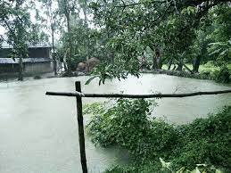 সময়ের আগেই বর্ষা ! স্বস্তির খবর দিল হাওয়া অফিস 1 সময়ের আগেই বর্ষা ! স্বস্তির খবর দিল হাওয়া অফিস