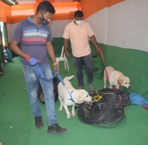 ২১শে জুলাইকে ঘিরে উৎসবের মেজাজ, আবেগে ভাসছে গোটা শহর,  কড়া নিরাপত্তার মোড়কে কলকাতা