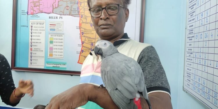 হারিয়ে যাওয়া আফ্রিকান গ্রে প্যারট রিওকে পরিবারের কাছে ফেরালো হাওড়া পুলিশ
