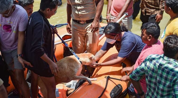 প্রবল বৃষ্টিতে  বিপর্যস্ত বেঙ্গালুরু, উদ্ধারকার্যে নামাতে হল নৌকা