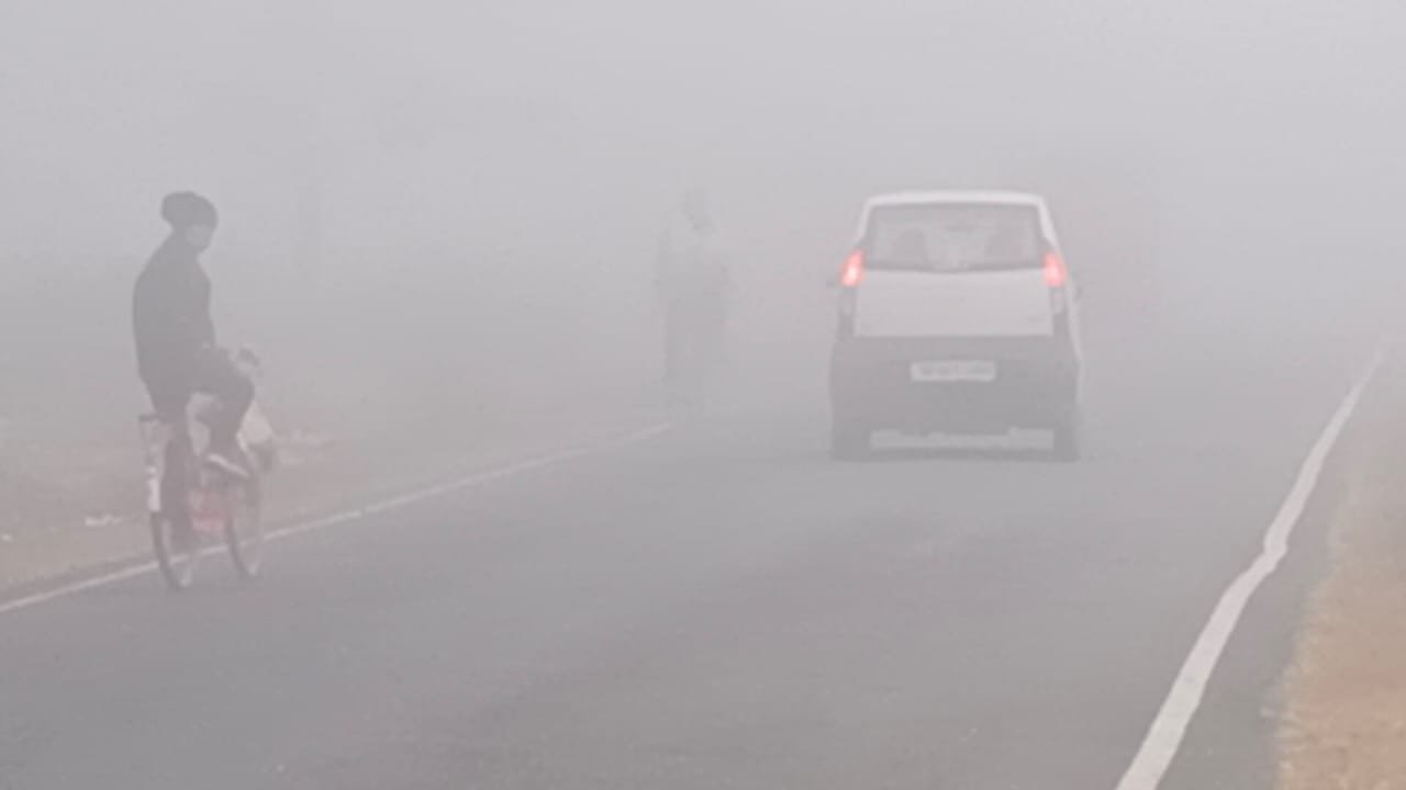 ঘন কুয়াশার চাদরে ঢাকলো গোটা ডুয়ার্স