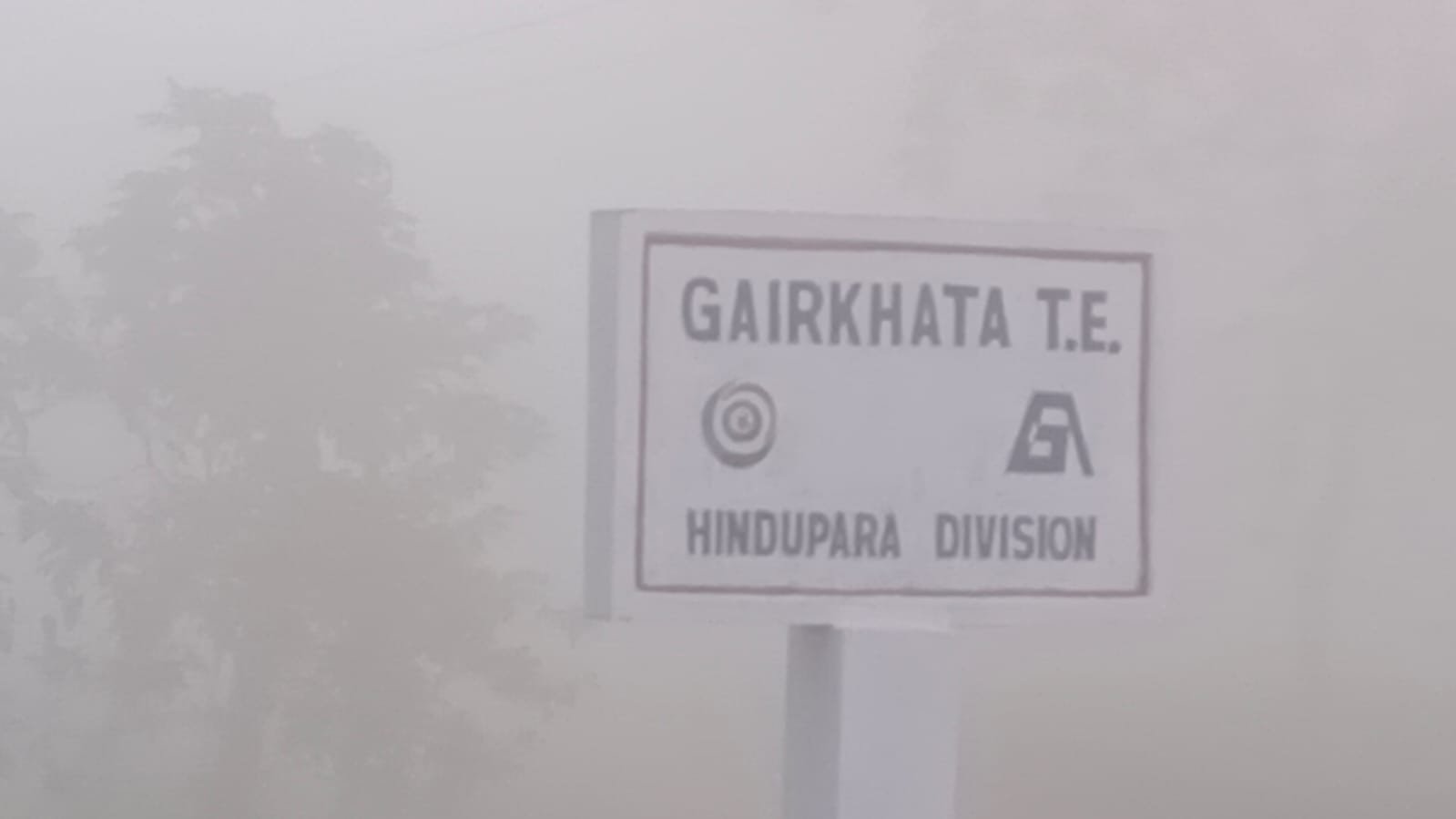 ঘন কুয়াশার চাদরে ঢাকলো গোটা ডুয়ার্স