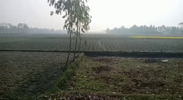 ভারত- বাংলাদেশ সীমান্তে ফের বিএসএফের গুলিতে মৃত্যু যুবকের