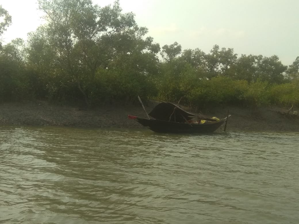 সবুজে ঢেকেছে আরবের ধূসর পাহাড়, কিয়ামত কি সন্নিকটে, প্রশ্ন নেট-দুনিয়ায়