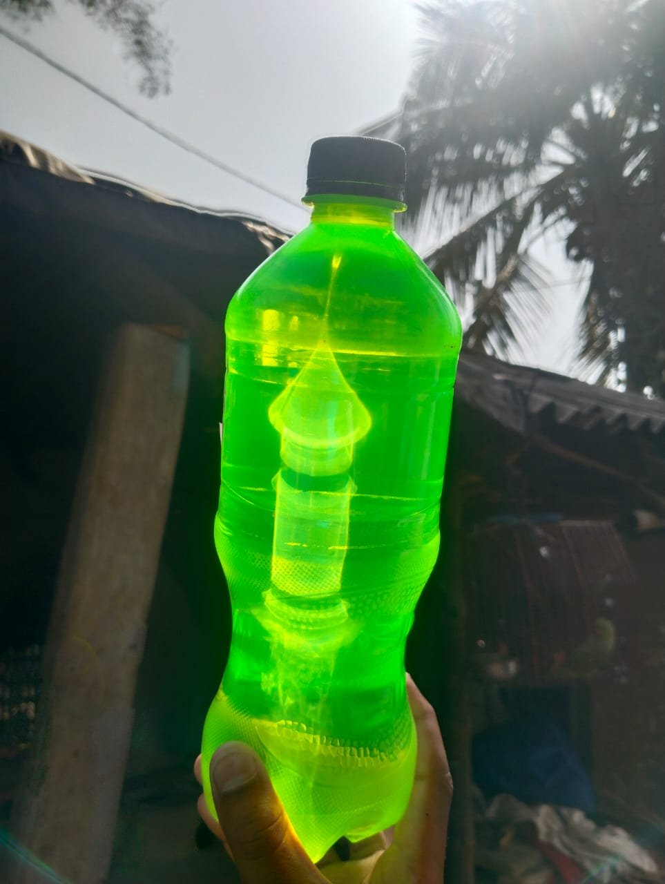 মক্কা-মদিনা ছবি বোতলের ভিতর, ভাইরাল ছবি