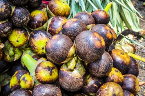 গ্রীষ্মকালীন ফলের উপকারিতা