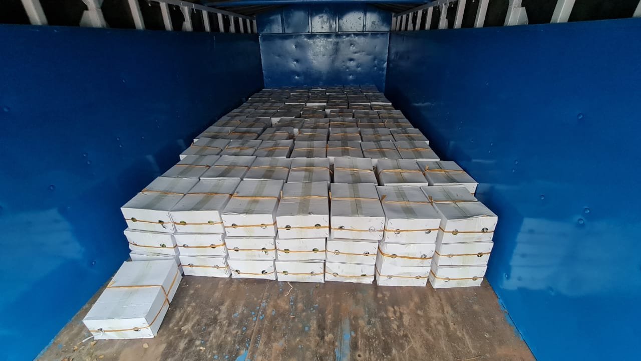 মুখ্যমন্ত্রী ৬০০ কেজি আম উপহার শেখ হাসিনার