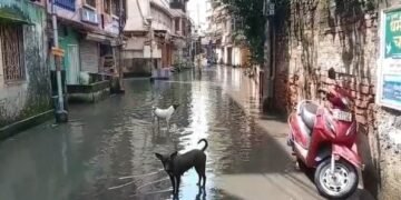 রাস্তায় জমছে জল, হাওড়ায় বিক্ষোভে মহিলারা 1 রাস্তায় জমছে জল, হাওড়ায় বিক্ষোভে মহিলারা
