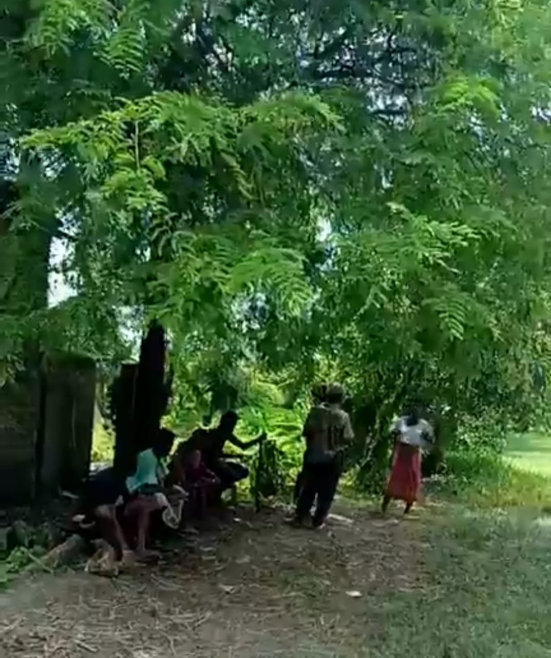 কুলতলিতে বাঘের পায়ের ছাপ ঘিরে এলাকায় ফের আতঙ্ক